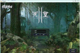 端游【天堂II之铁幕降临】经典网游3DMMORPG游戏源码+Win服务端+客户端+网页注册