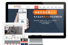 专业网站建设 网络设计营销类网站模板源码